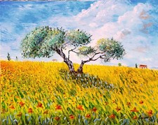 Olio su tela 40x50 Cm dipinto