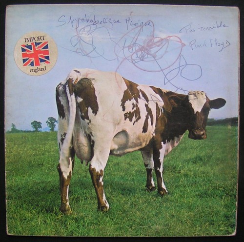 Pink floyd atom - pink, heart