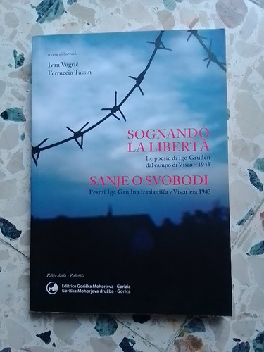Sognando libertà poesie - sognando, le