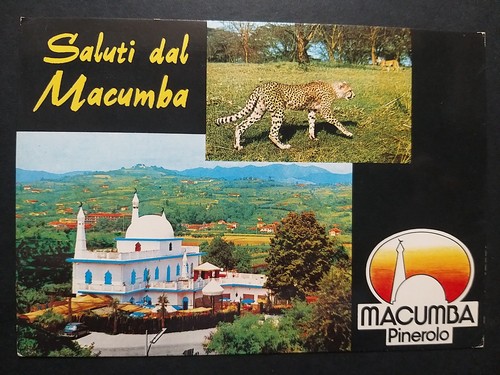 Pinerolo saluti dal - saluti,