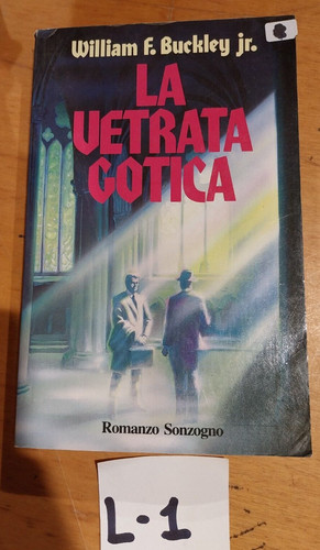 Libro romanzo vetrata - romanzo, la
