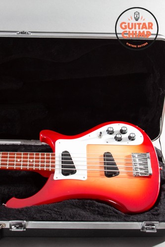 Fireglo basso corde - basso, 5