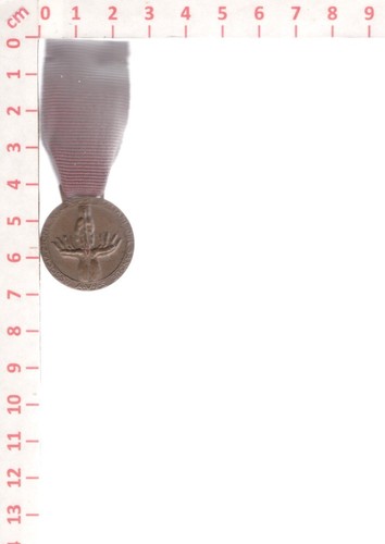 D8768 medaglia bronzo medal - medaglia,