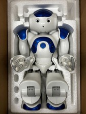 Softbank Robotics NAO6 H25600