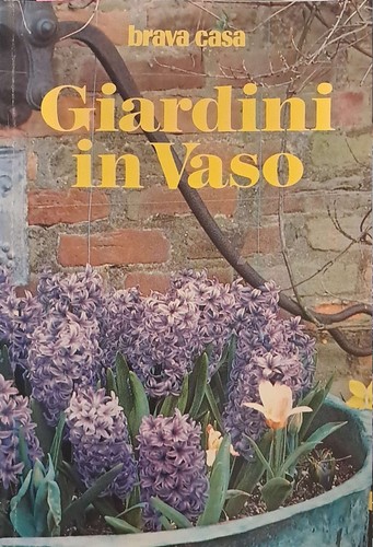 Giardini vaso giordano - in, vaso.