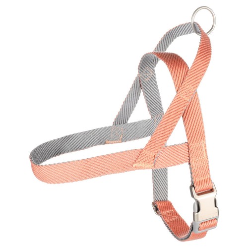 Flamingo norvegese elly - flamingo,