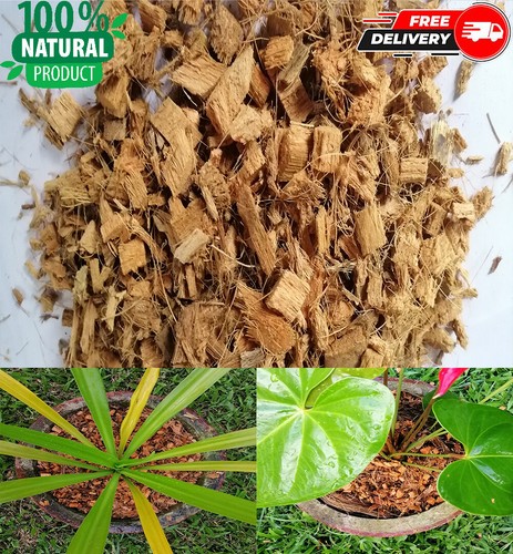 Coconut husk chips fibra - chips,