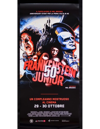 Locandina frankenstein junior - locandina,