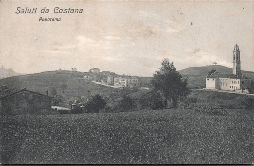 Pavia castana panorama - castana, f