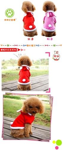 Costume cane gatto - , regalo