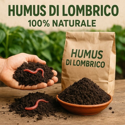 Humus lombrico 5 - lombrico,