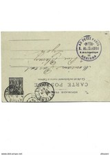 B2 entier postale type sage "