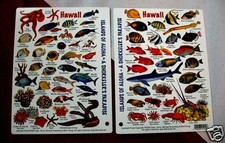 Fish MINI ID Card 4x6