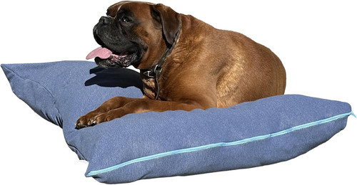 Cuccia cane interno - -,