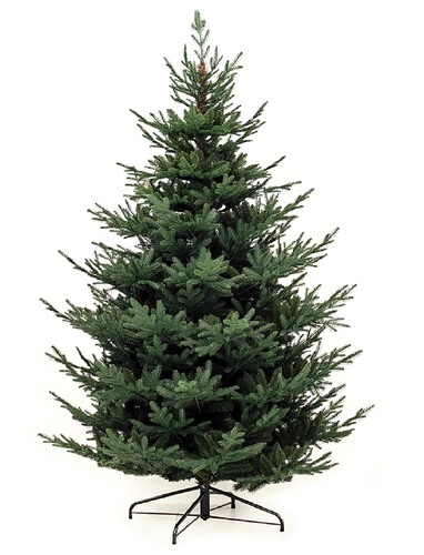 Albero natale 210 - albero,