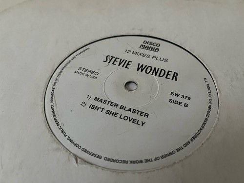 Stevie wonder 12 mixes - 12,