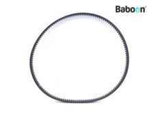 Cinghia di trasmissione