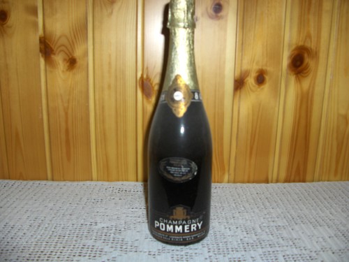 Bottiglia champagne brut - bottiglia,
