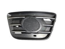 GRIGLIA TAPPO FENDINEBBIA