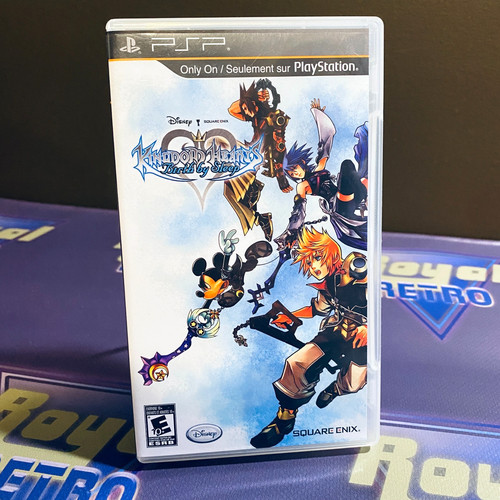 Kingdom hearts birth sleep - kingdom,