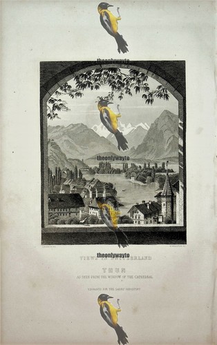 Thun dalla finestra - thun,, della