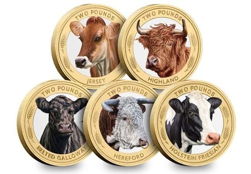 Collezione monete 2024 - collezione,