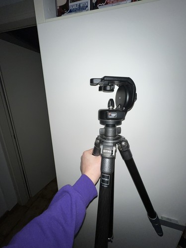 Treppiedi gitzo gt2941 testa - treppiedi,