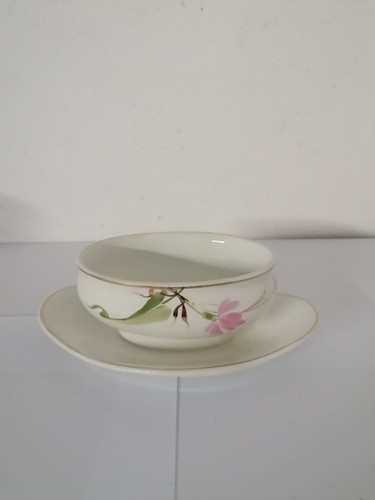 Ceramica richard ginori antica - ceramica,