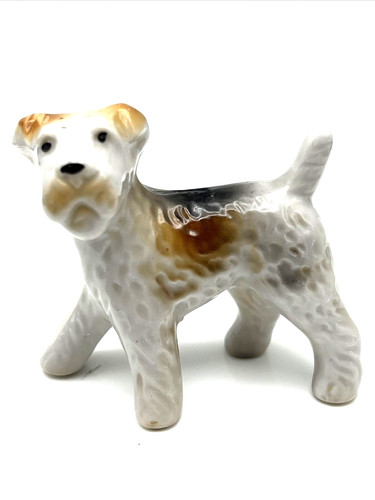 Filo fox terrier cane cucciolo - cane,