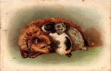 CPA Wire haired dogs DOGS