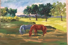 Arte cavallo originale firmata, dipinto ad olio, equino,equitazione,arte,animale 27x19