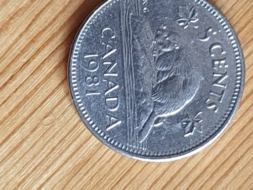 Moneta cents dollaro - cents,