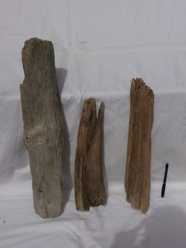 Legno mare tronco - legno, di