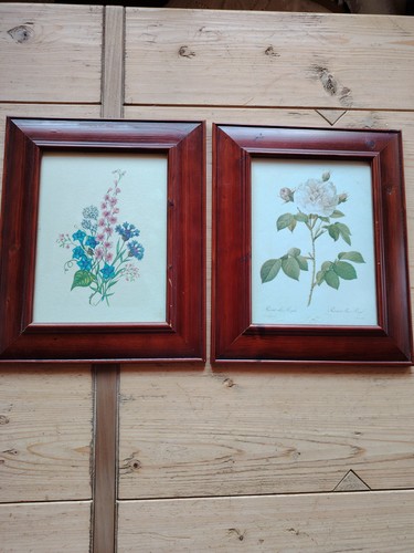 Coppia stampe botaniche - coppia,
