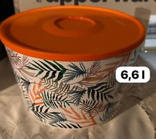 Ciotola Illumina Tropicale