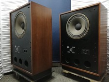 ARDEN Early Alnico 15in Dual