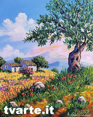 Compralo subito 35x45 - , quadro