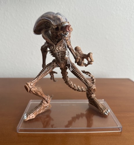 Weta alien xenomorph sdcc - weta,