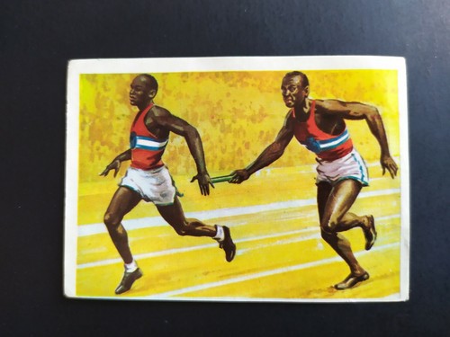 Figurina enciclopedia sportiva - figurina,