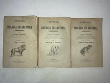 Compendio zoologia ed - di,