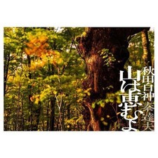 Akita Shirakami Mountains