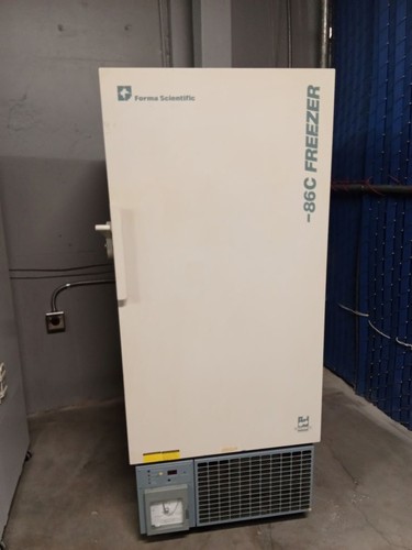 Congelatore forma scientific - congelatore,