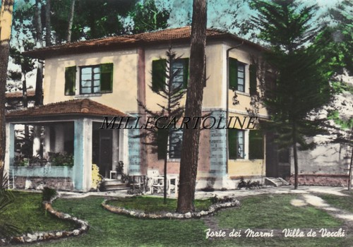 Forte dei marmi villa - dei,