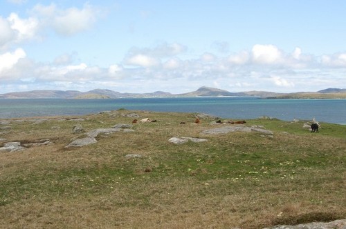 Photo 6x4 grazing land - 6x4,