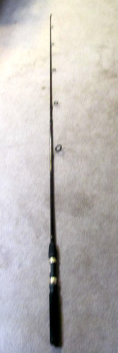 Canna pesca quantum - canna,