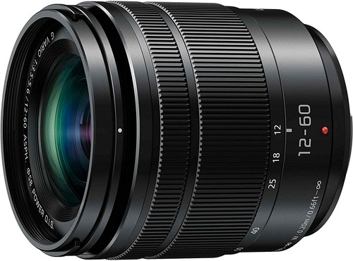 Panasonic lumix vario - g,