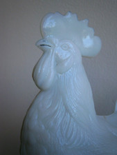 Gallo Opalina Stampato