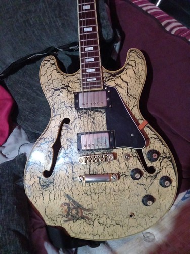 Chitarra semiacustica aria - chitarra,