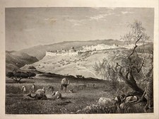 Gerusalemme Scopus 1874 acquaforte antica Palestina Arabia Illustrazione