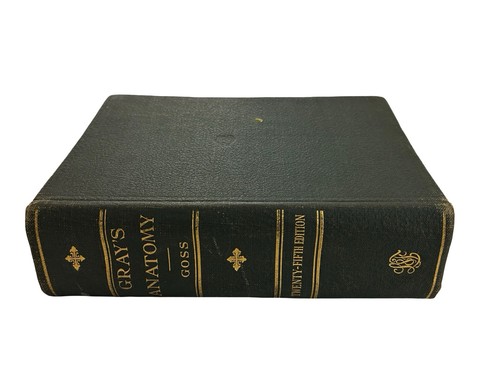 Vintage gray anatomy 25th - vintage,